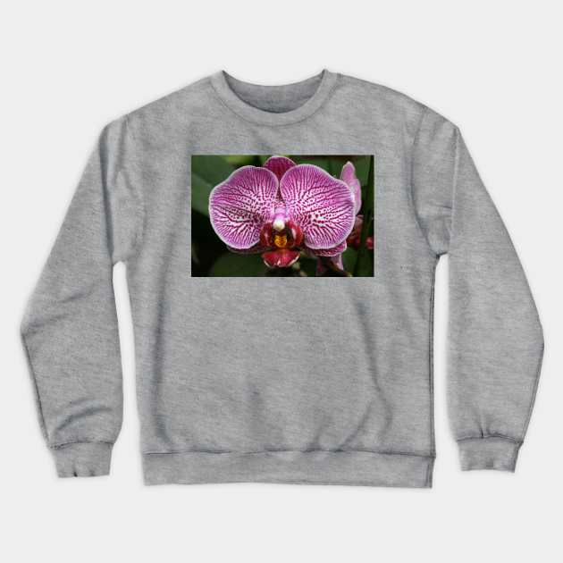 Purple Orchid Crewneck Sweatshirt by Rob Johnson Photography